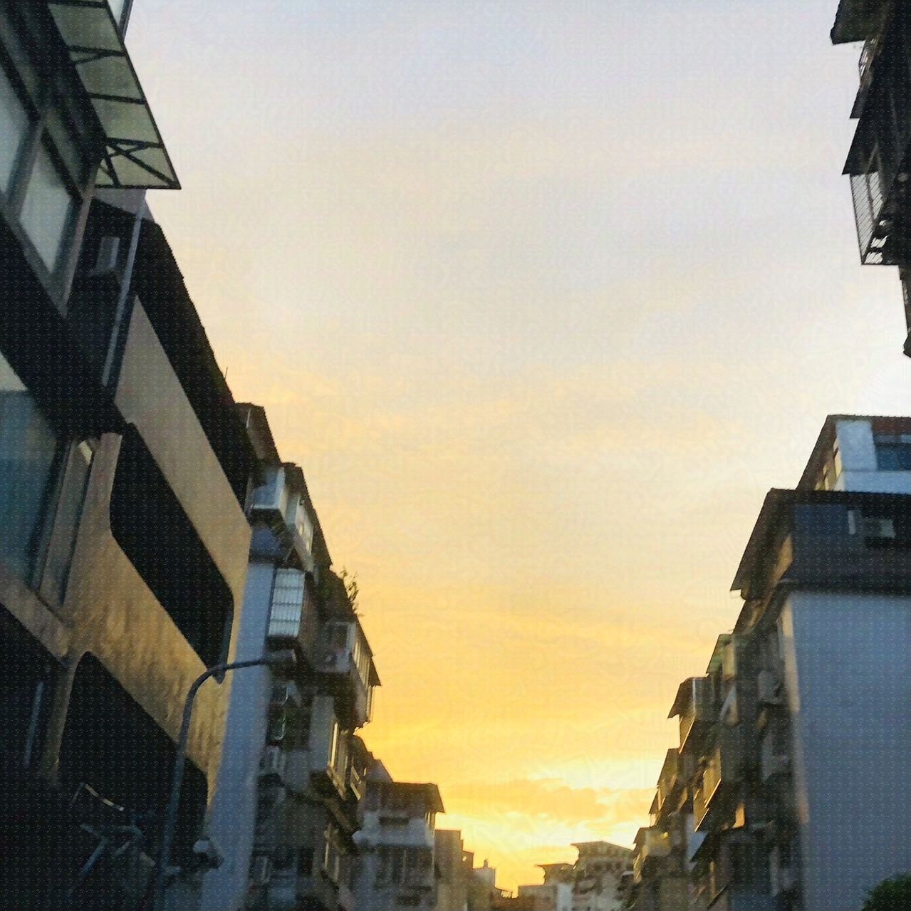 写真（Photos）-1