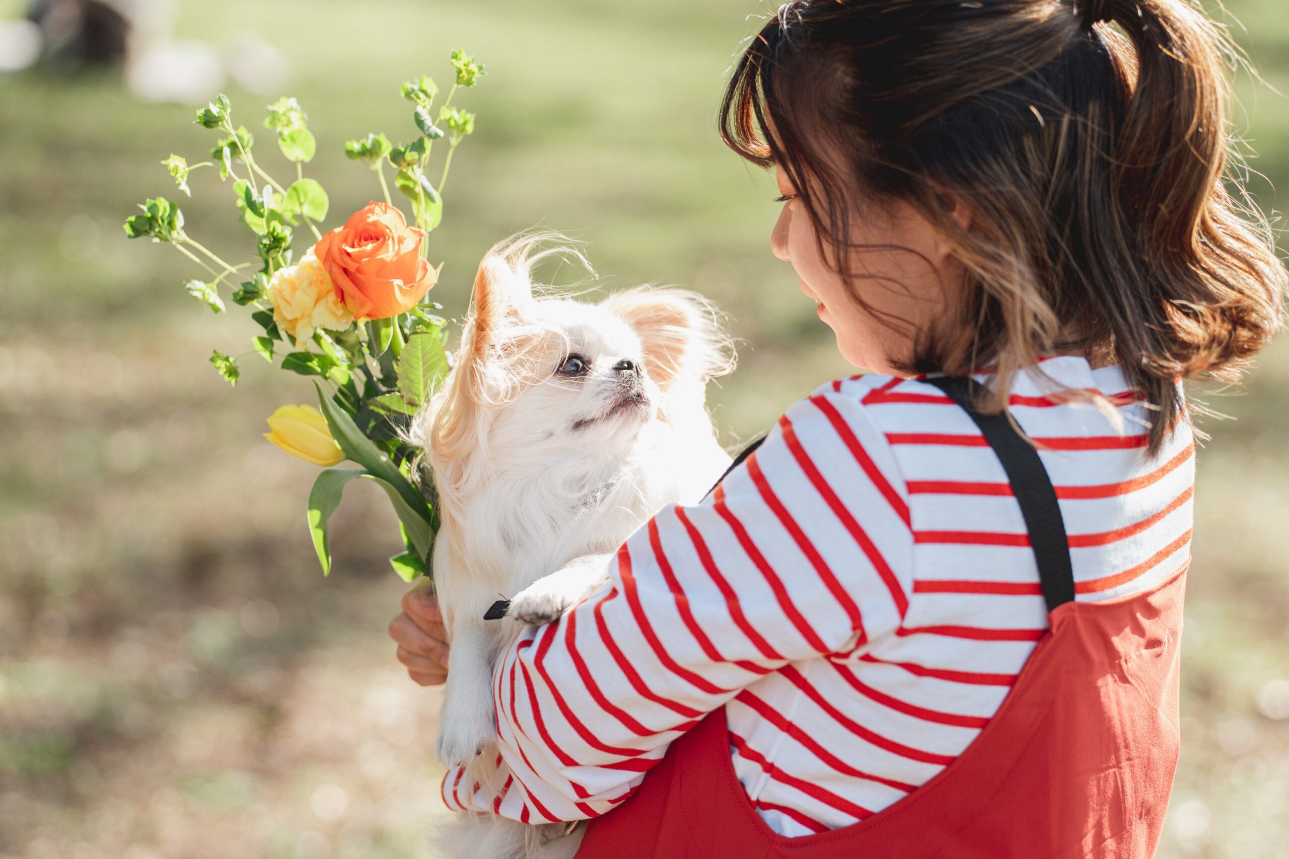 【インタビュー記事】わんこライフマガジン：旅好き獣医師まだらーさんに聞いた！小型MIX犬との楽しい暮らし ｜VOICE｜tetewan(テテワン)