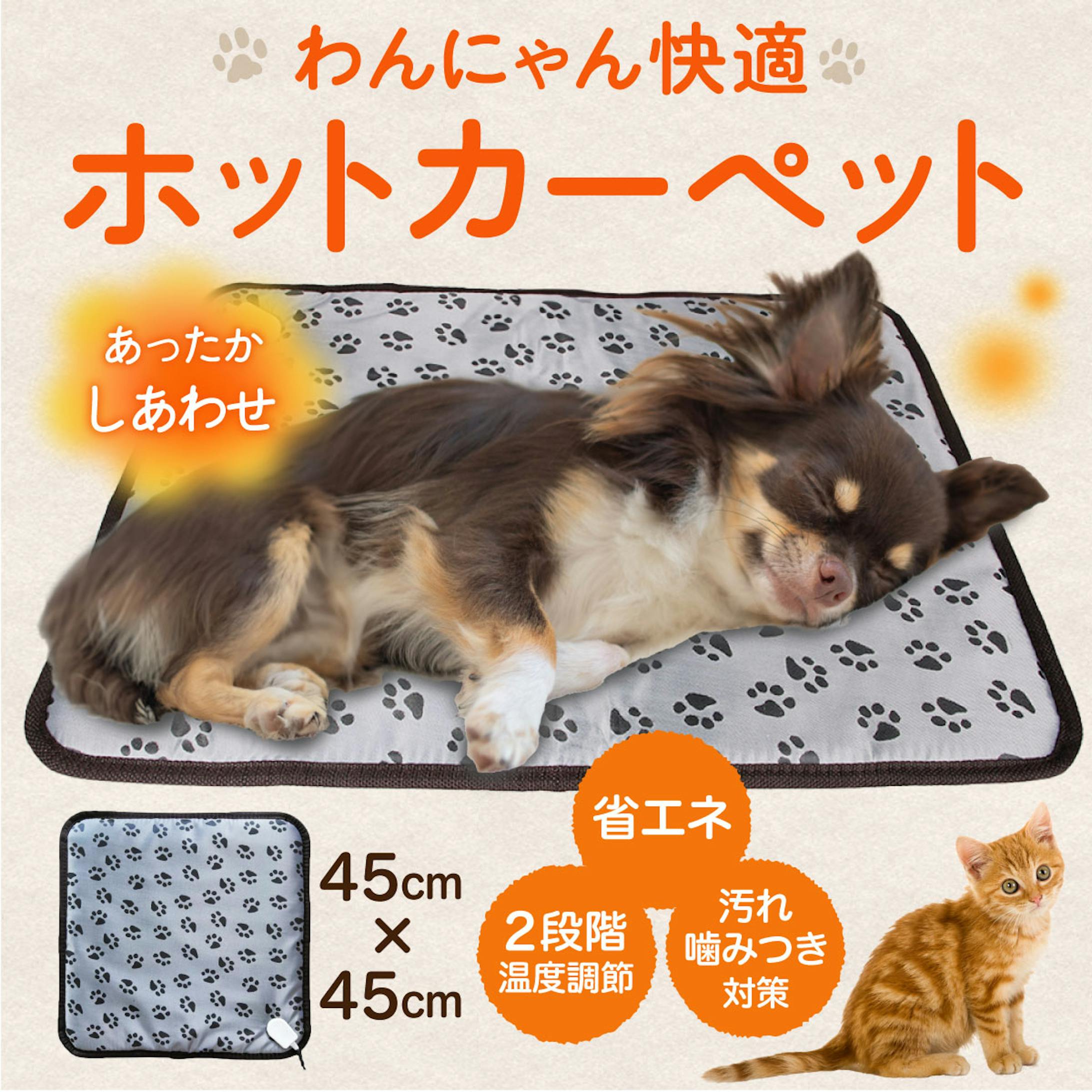 ペット用カーペット-1