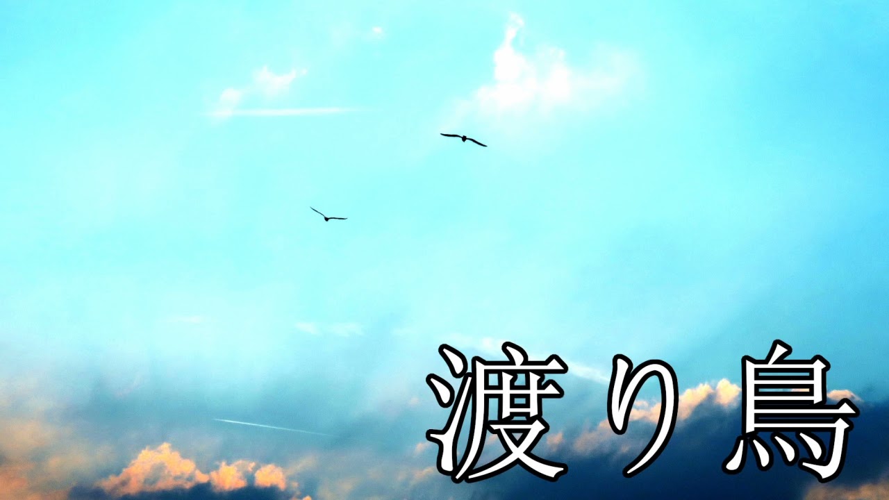 【オリジナル曲】渡り鳥/イワシフレンズ