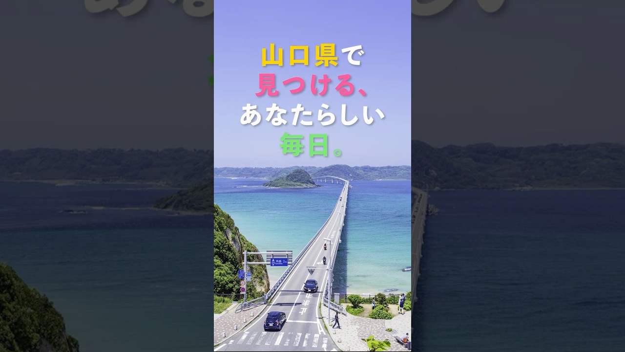 【SNS広告動画】YY!テラス・福岡　SNS広告ムービー