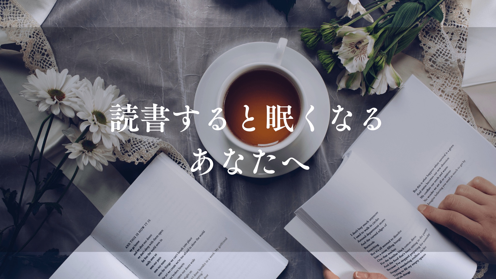 ブロガー、家具