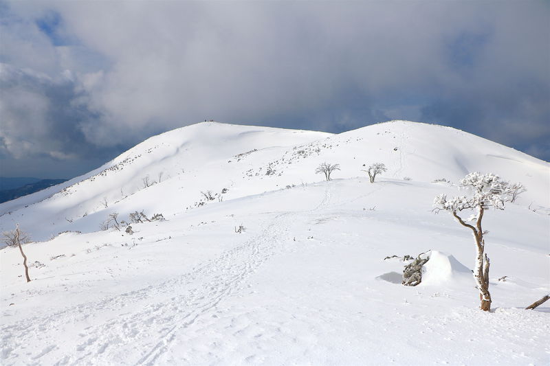 山上に広がる大雪原！滋賀「霊仙山」の雪山世界が圧倒的 | 滋賀県 | LINEトラベルjp 旅行ガイド