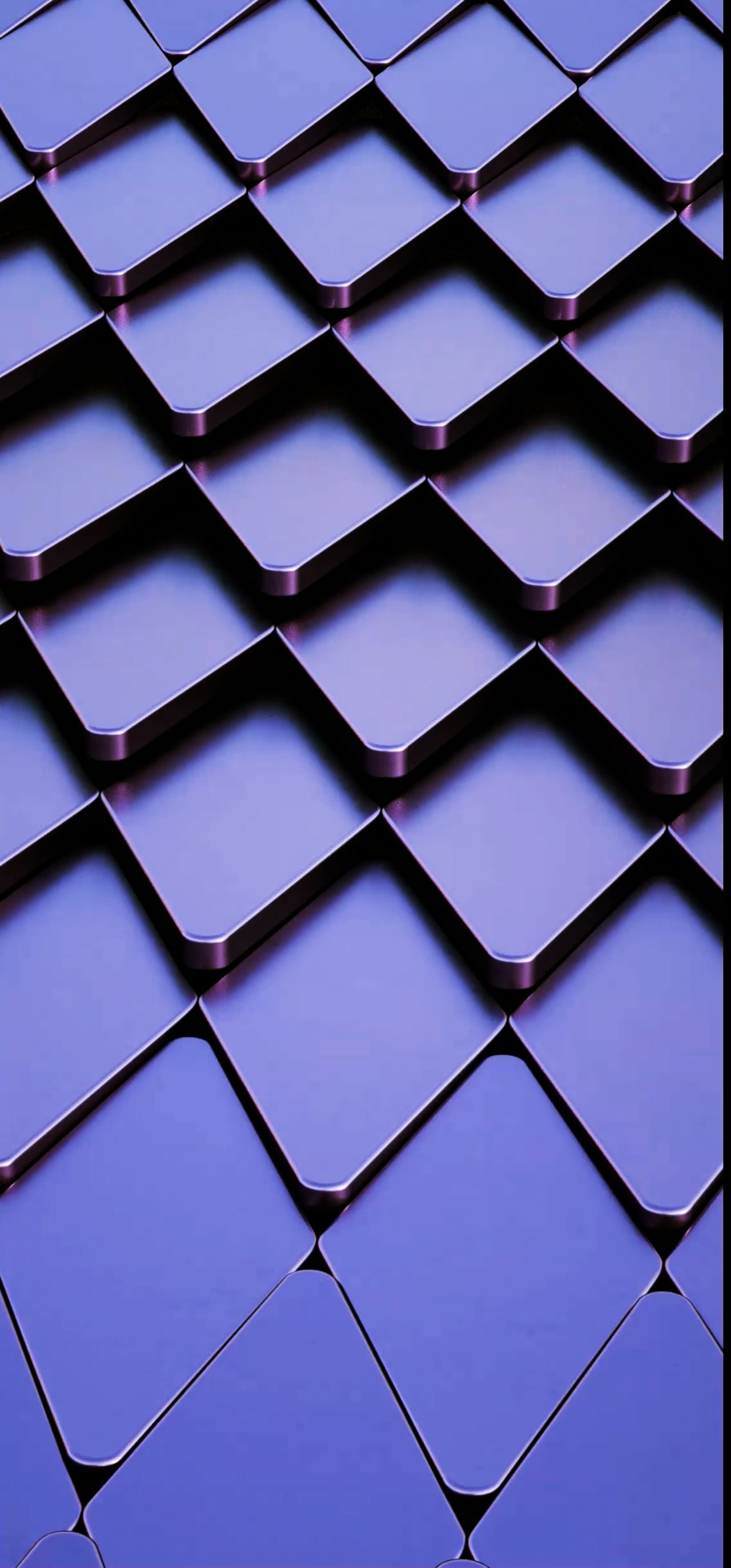 。、motion graphics