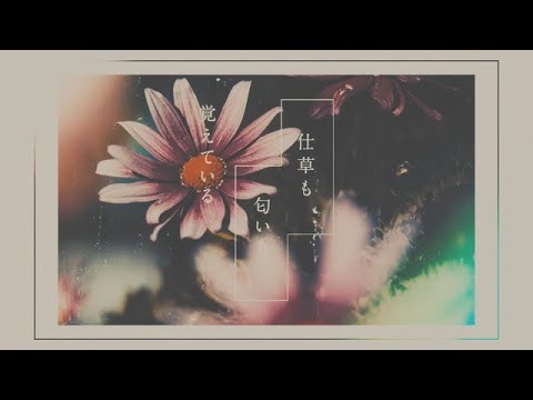 優里 『シャッター』Lyric Music Video（1コーラスver.）