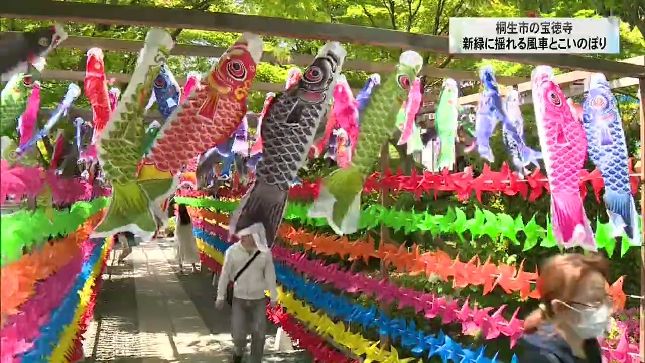 編集、ニュース