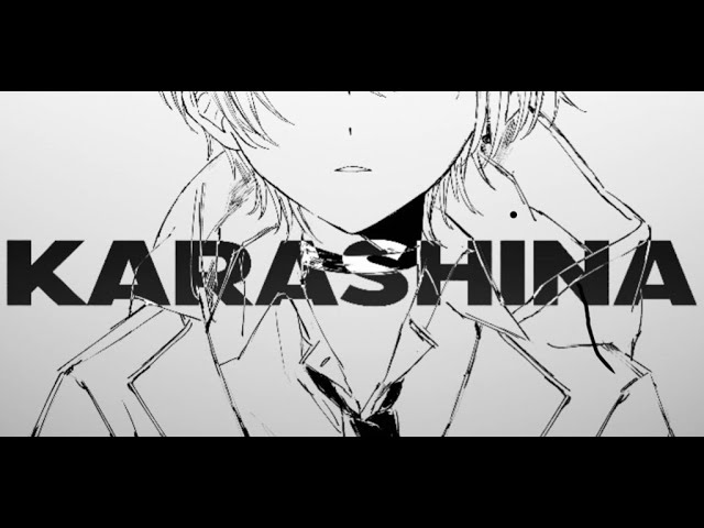 Karashina／A_ll  covered by Hqise.