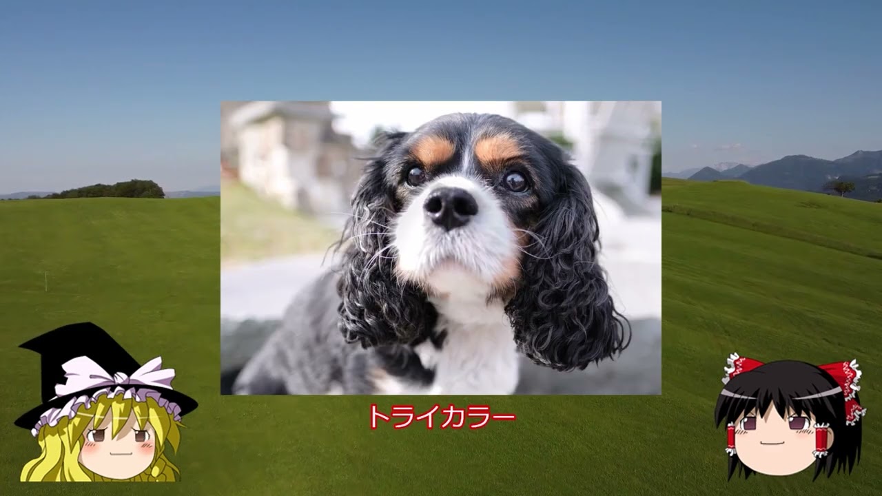 ゆっくり解説動画～サンプル～