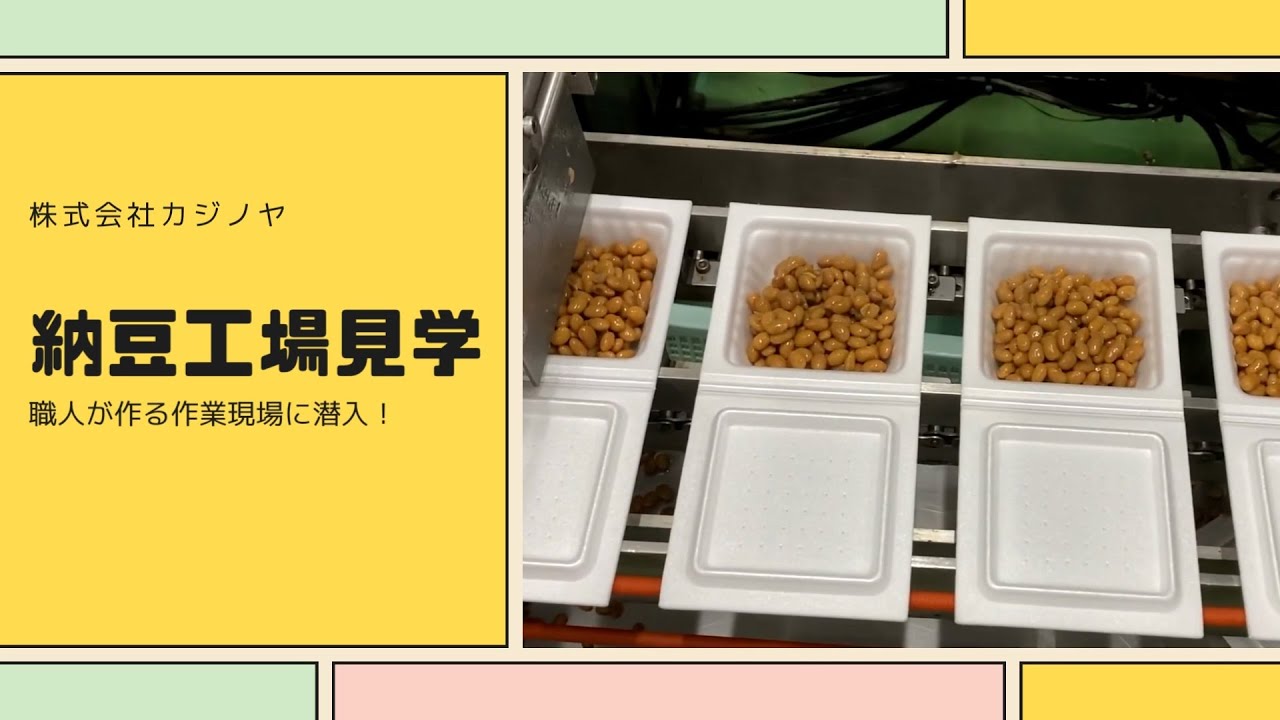 【工場見学】納豆専門！株式会社カジノヤ