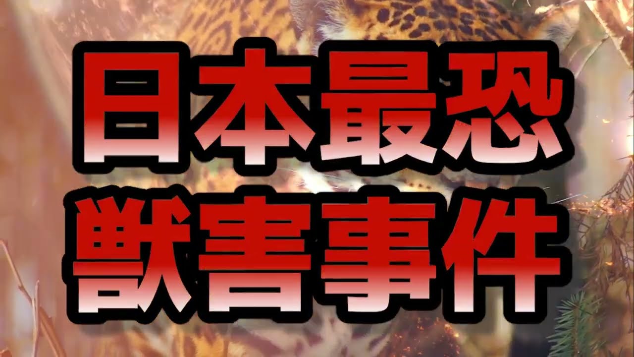 【YouTube】事件・ニュース系 ポートフォリオ