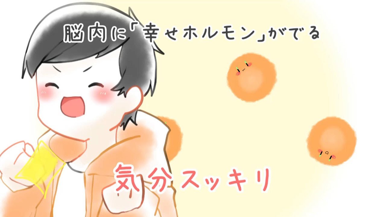運動の効果