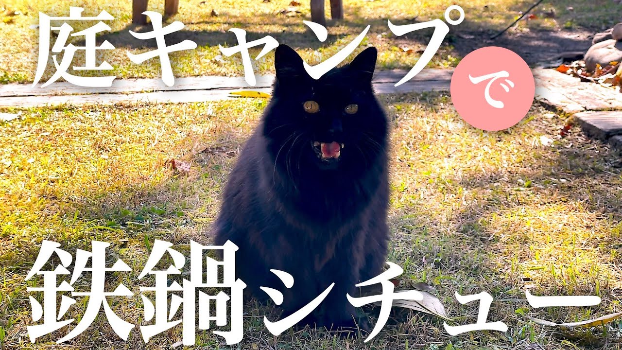 動画編集サンプル_001
