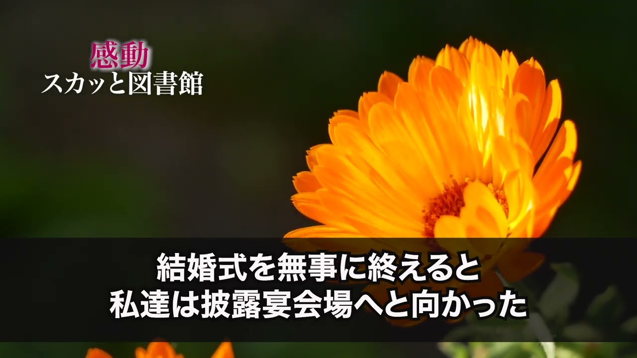 朗読系チャンネルポートフォリオ