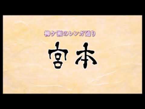 MIYAMOTO　PV