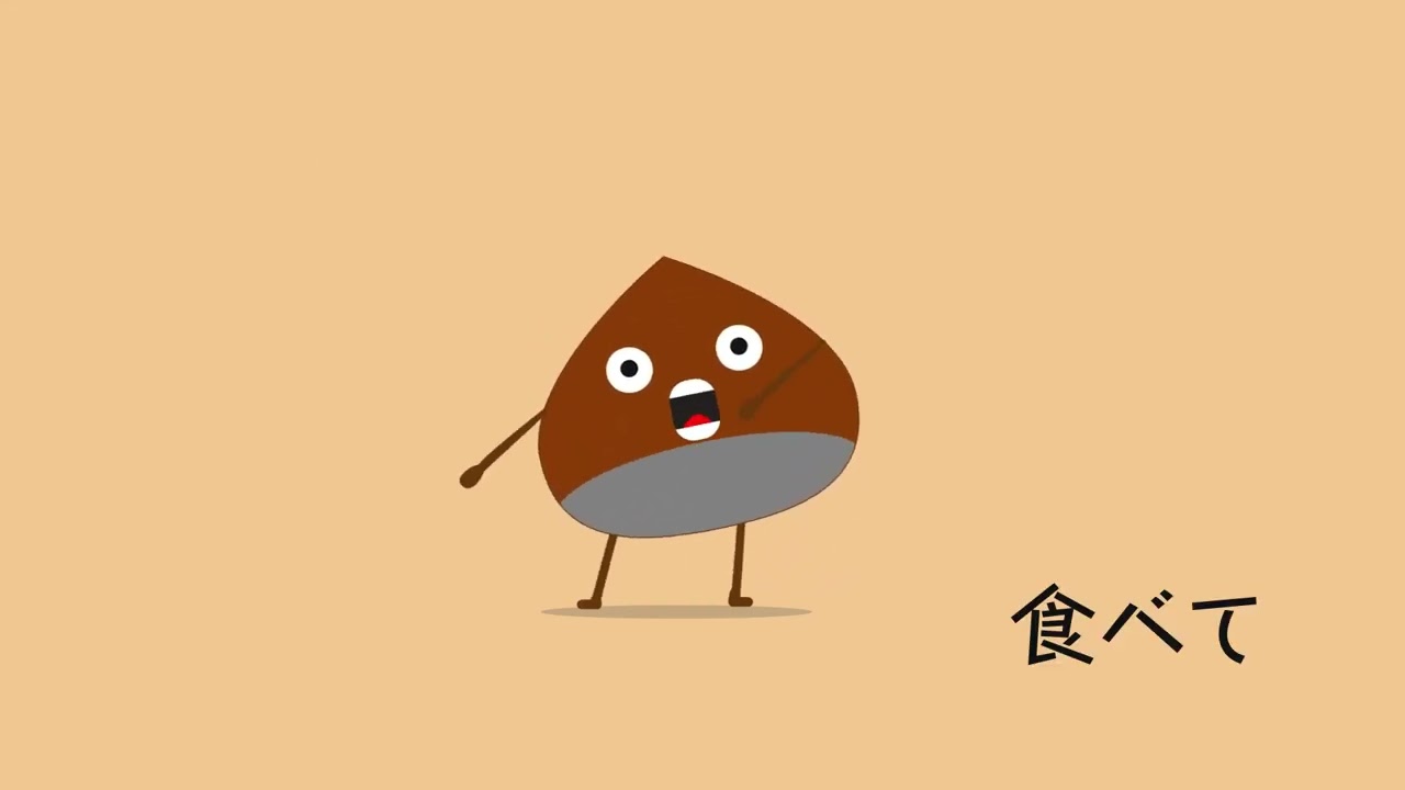 チラシ、サービス紹介