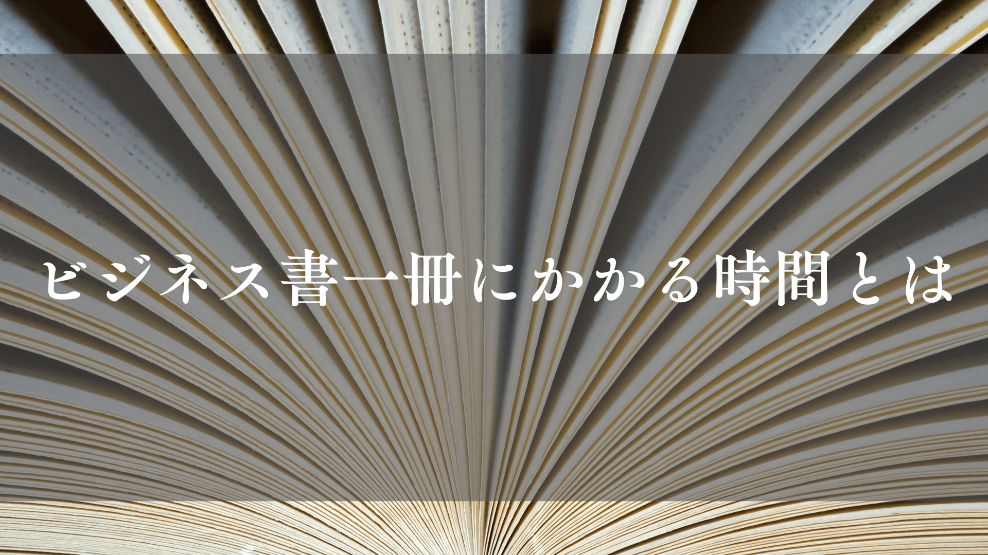 採用、ブロガー