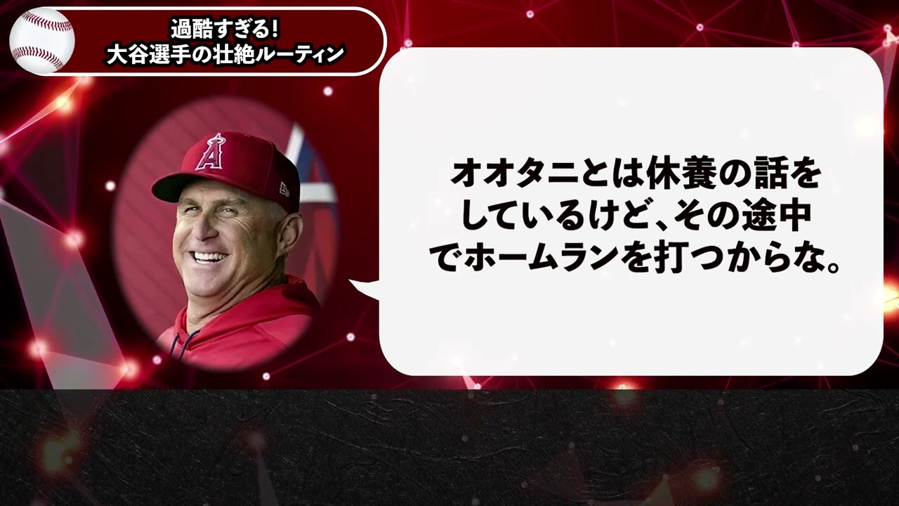 実績動画です。