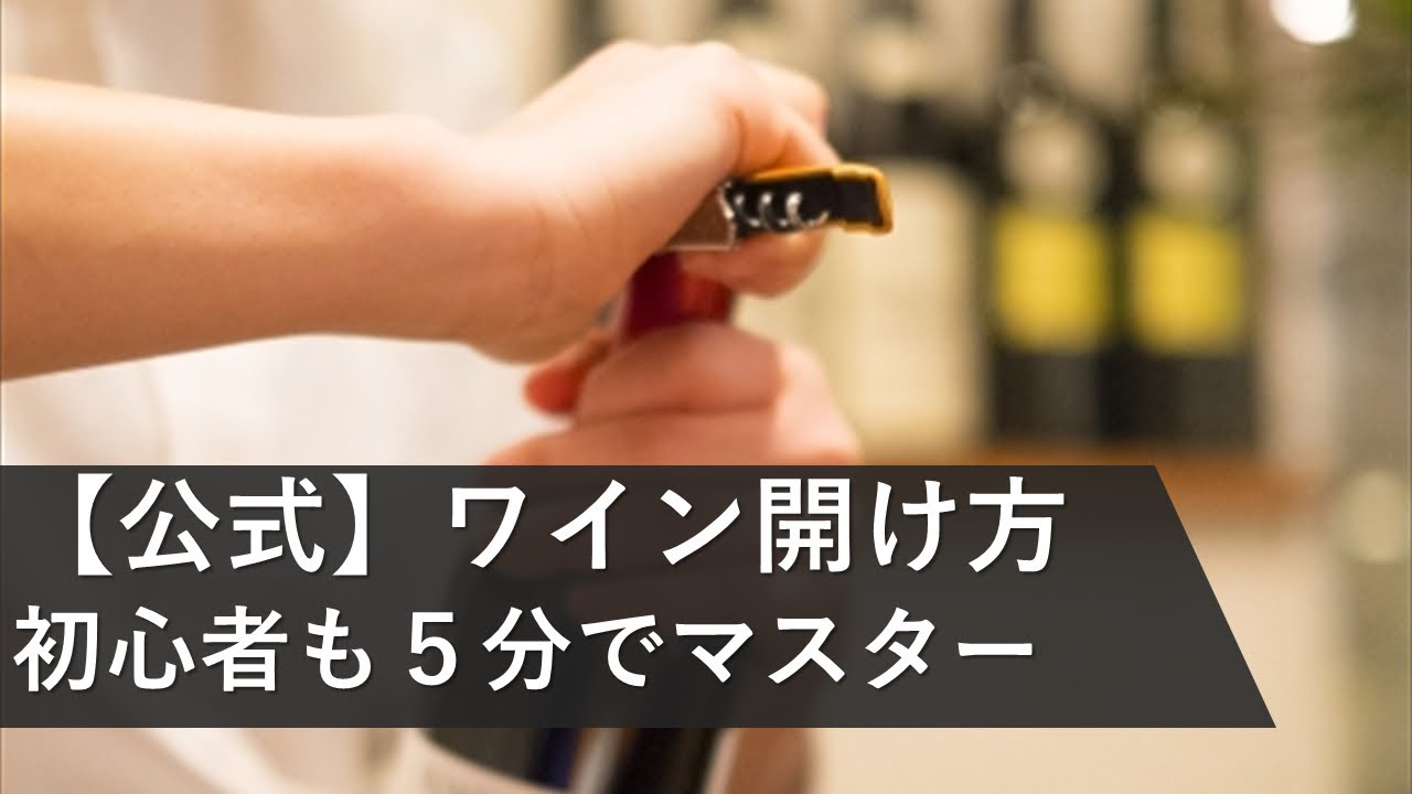 ファッション、写真撮影
