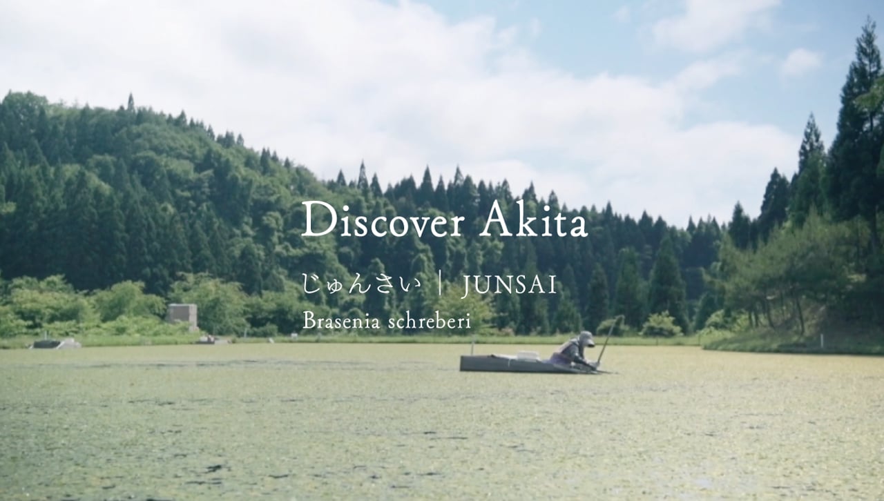 【動画】「Discover Akita」
