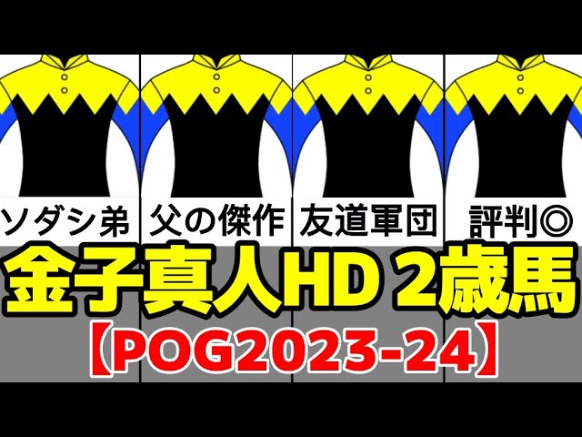 ブック、youtuber