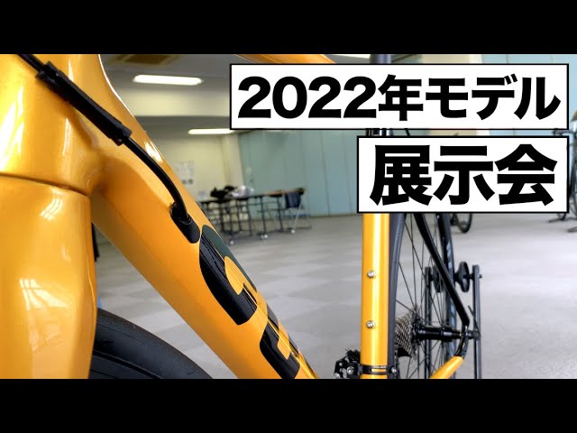 歴史、2022年