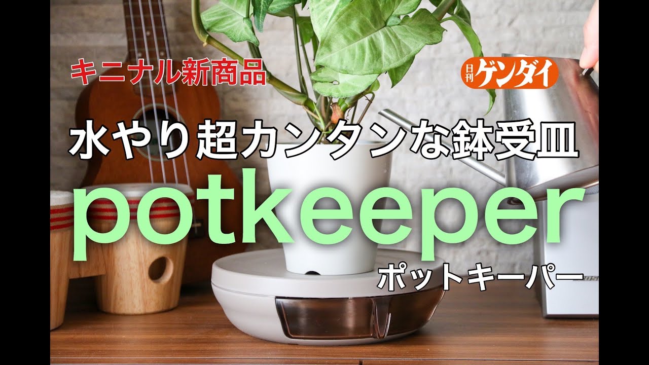 【キニナル新商品】水やりが超カンタンになる鉢受皿キニナル使い勝手は！？