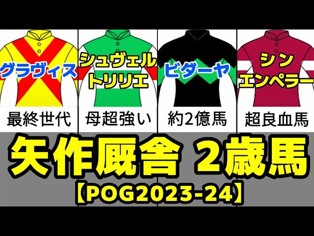 注目、youtube