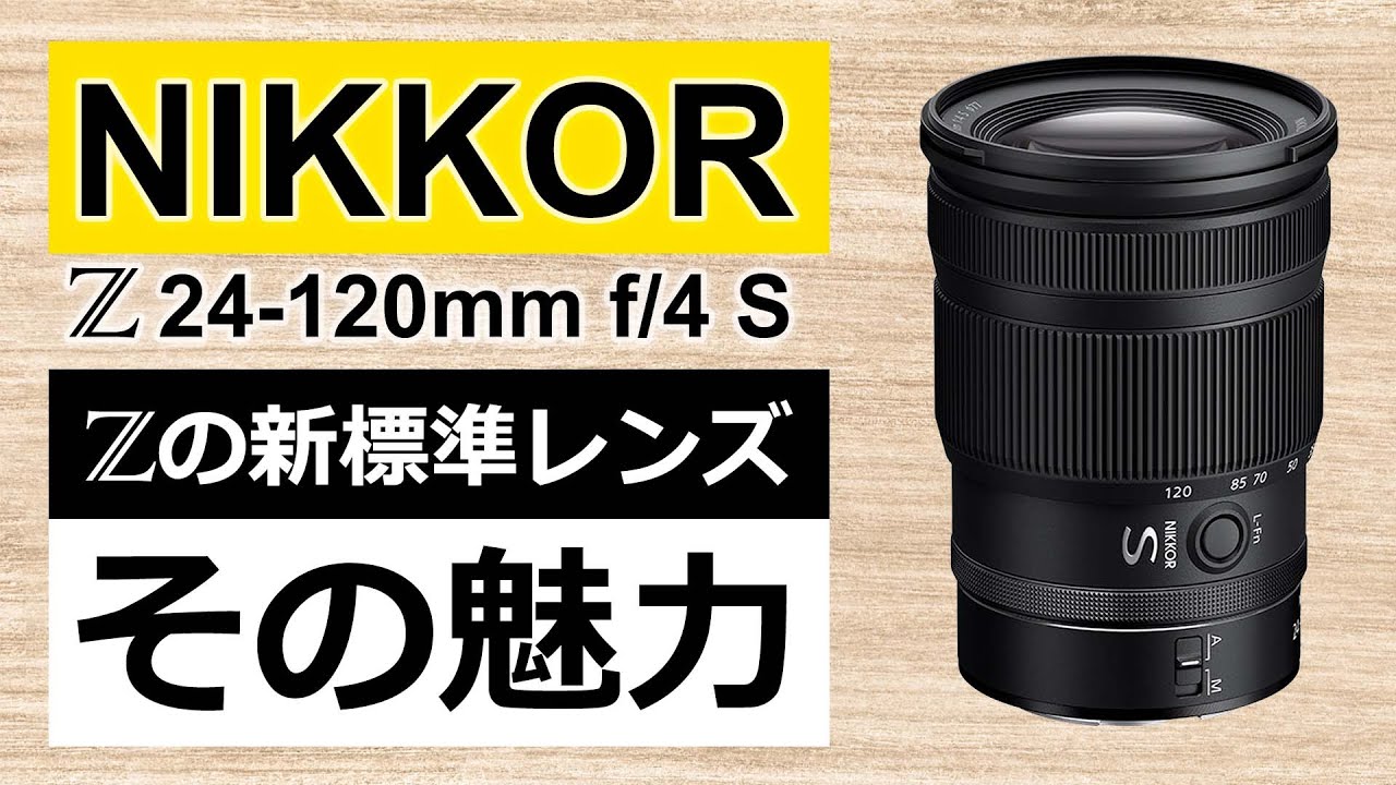 動画、アーティスト