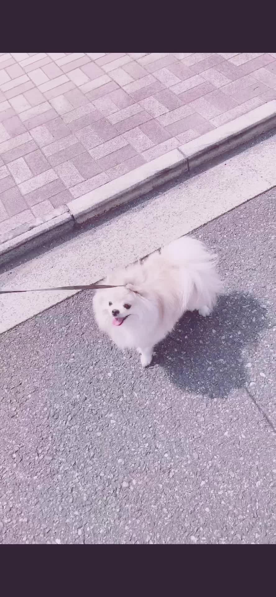 生活、tiktok