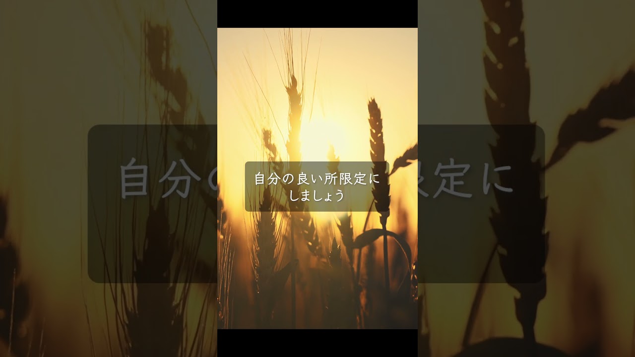 編集、コンサルティング