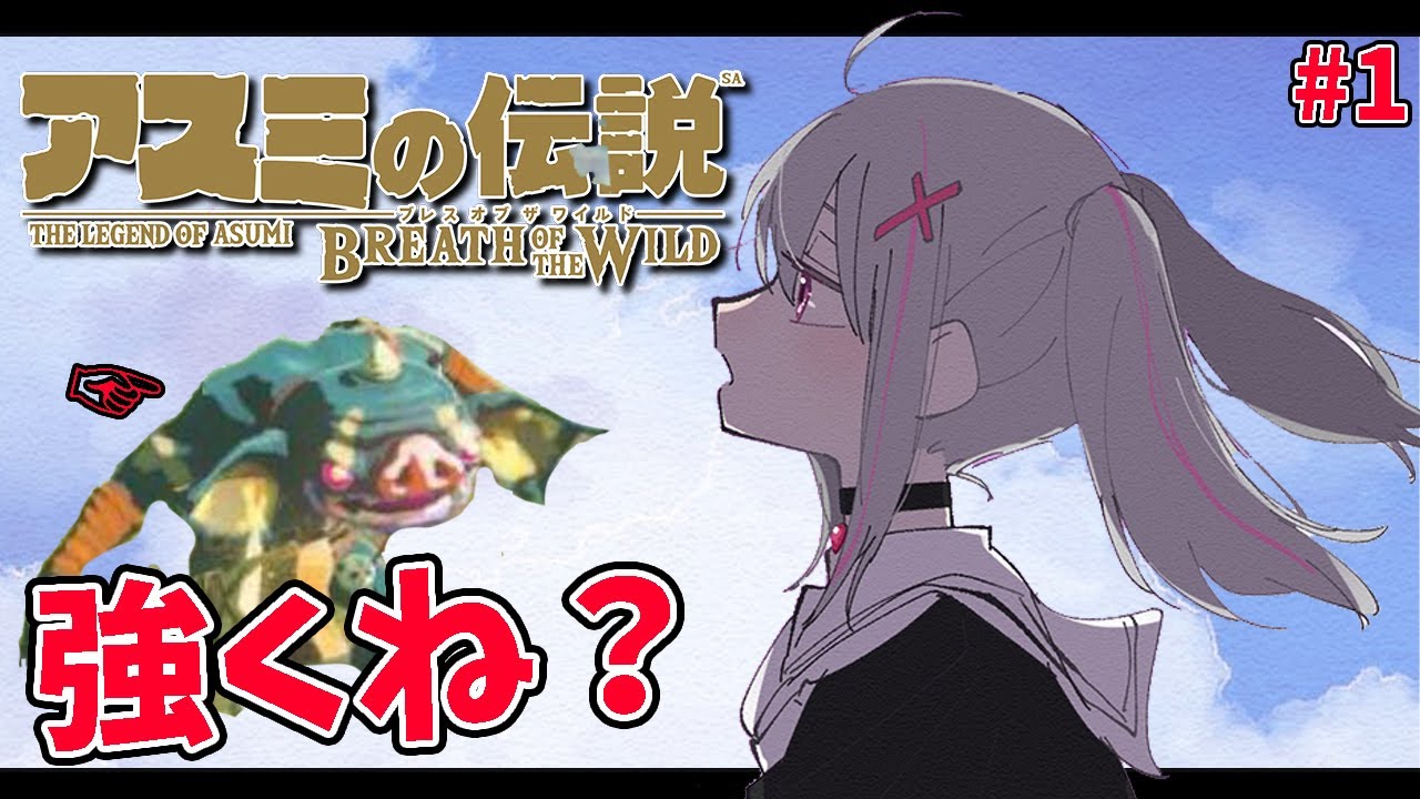 空澄セナ様_動画編集_ゼルダの伝説 BotW