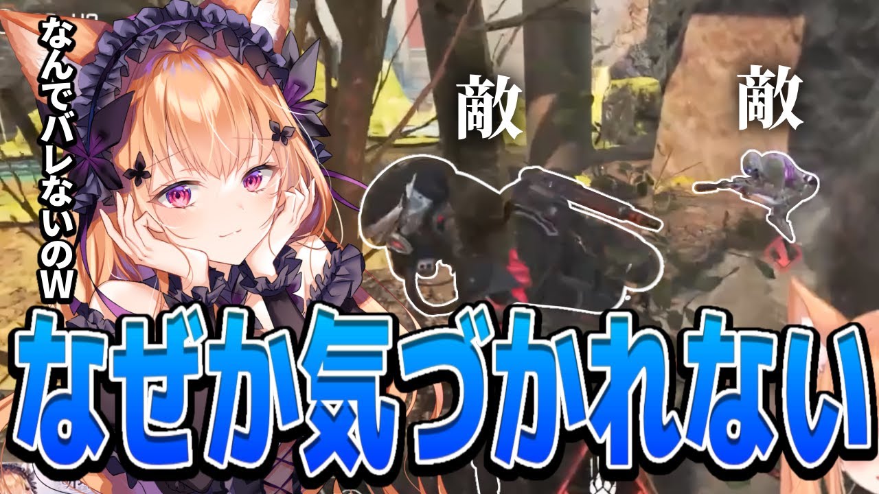 VTuber 胡蝶ここあ様 配信切り抜き