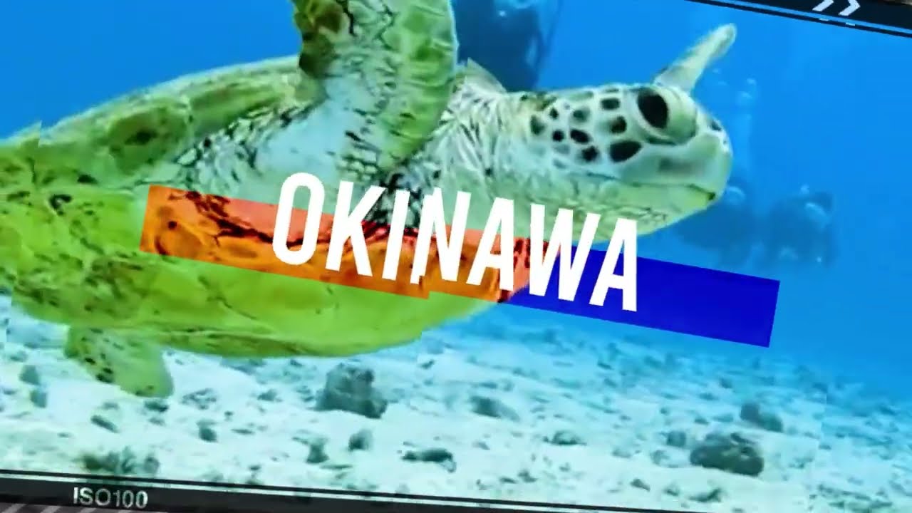 【イメージビデオ】レインボーダイバーズ
