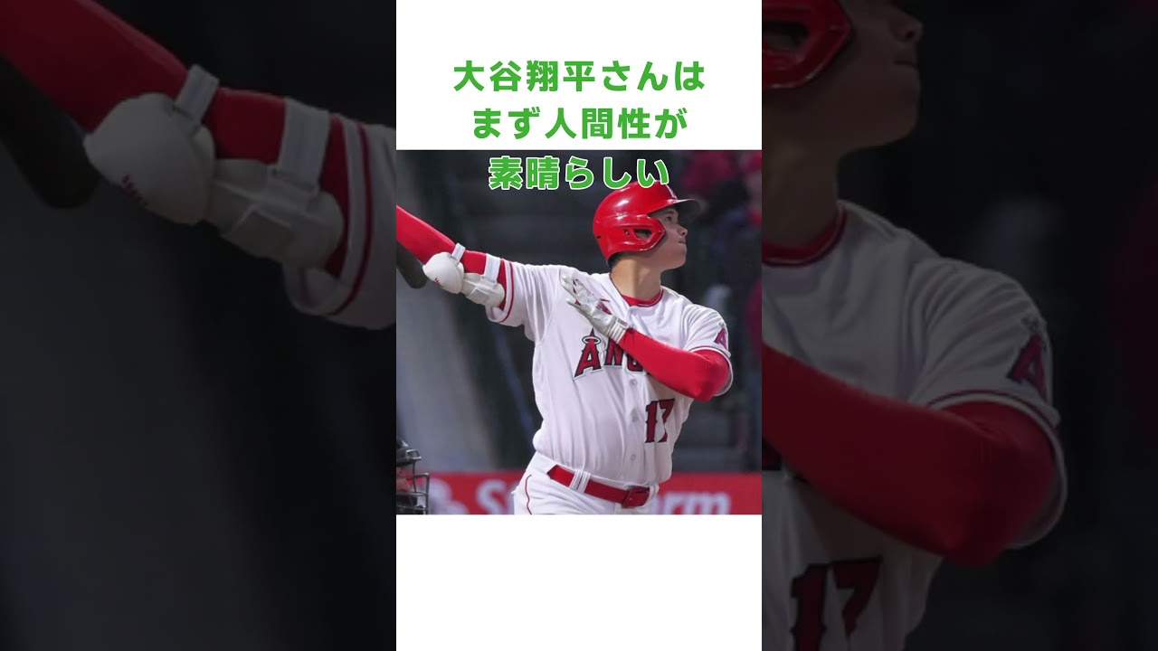 日本、写真撮影