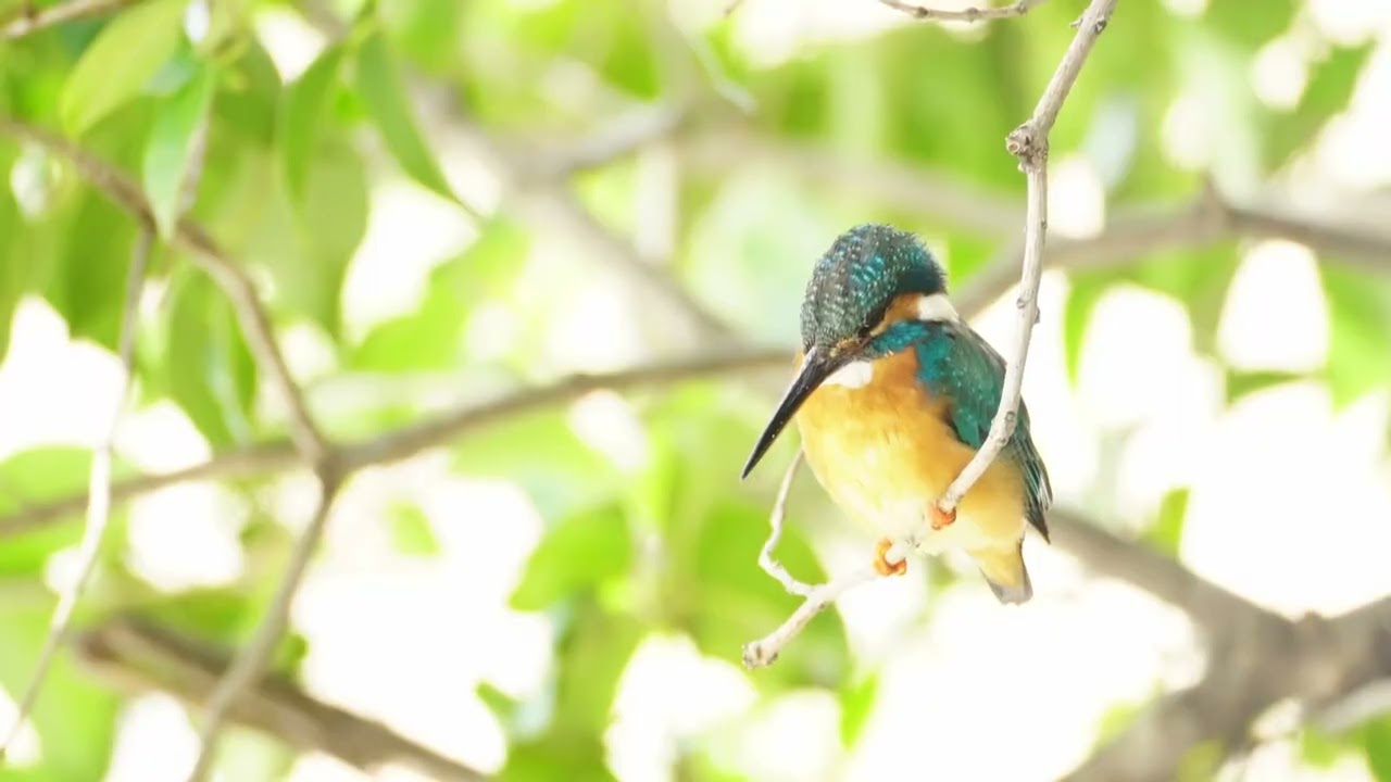 ポエム10年後の自分へ