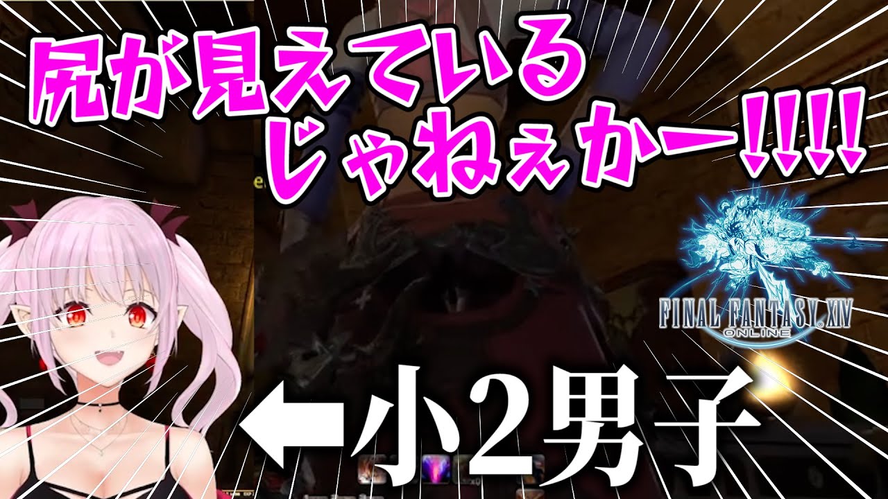 【切り抜き/FF14】ミンフィリアの服装の真実に気づき興奮を隠せない吸血鬼【Vtuber/レイラ・マグノリア】