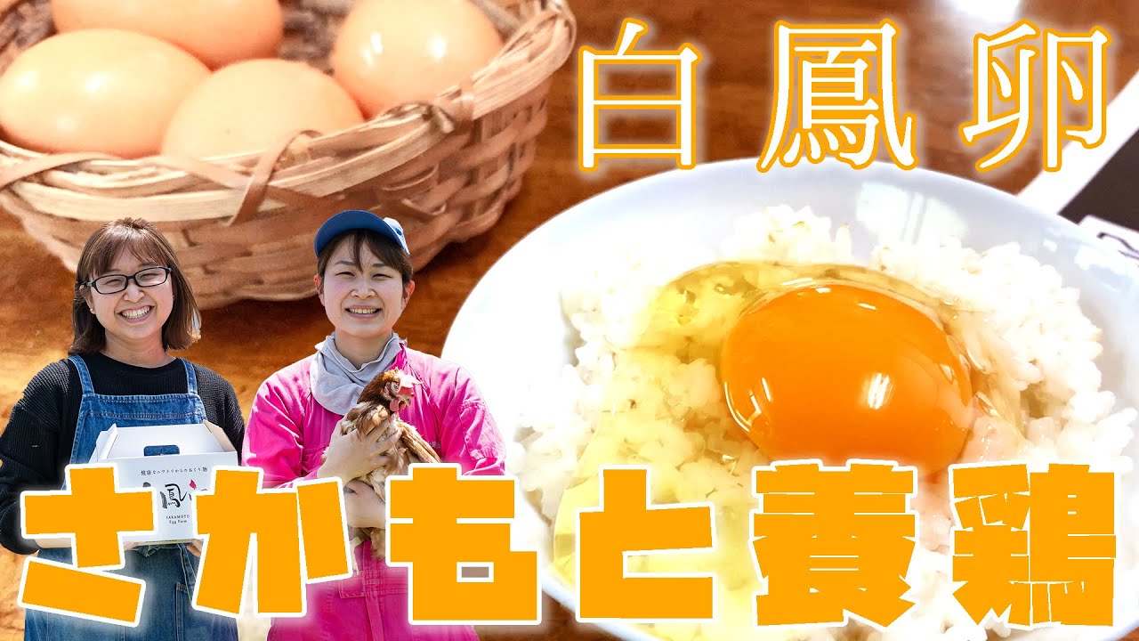 奈良・さかもと養鶏　紹介動画（エンタメ風）