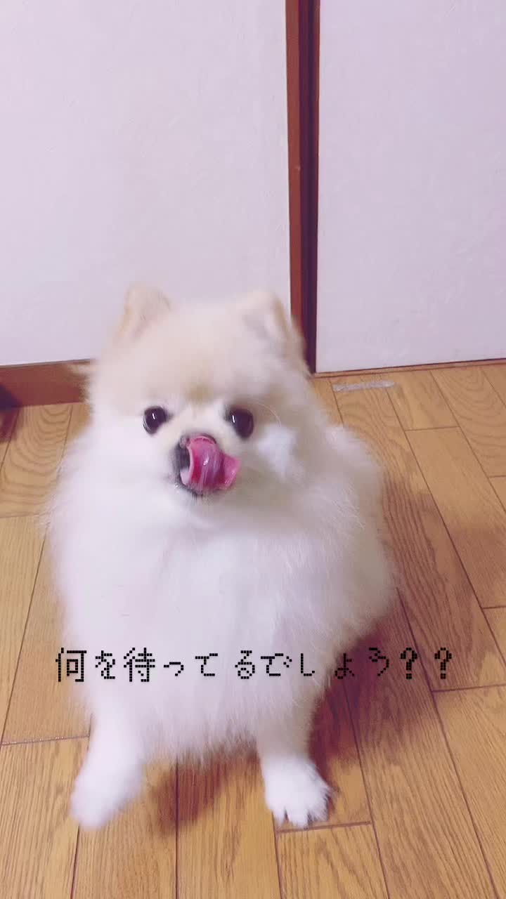 エディター、webライター