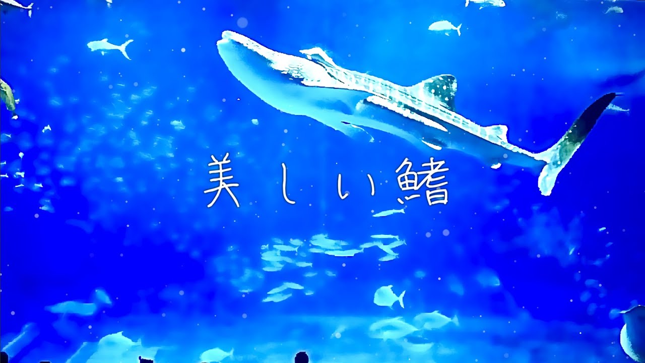スイーツ、mv
