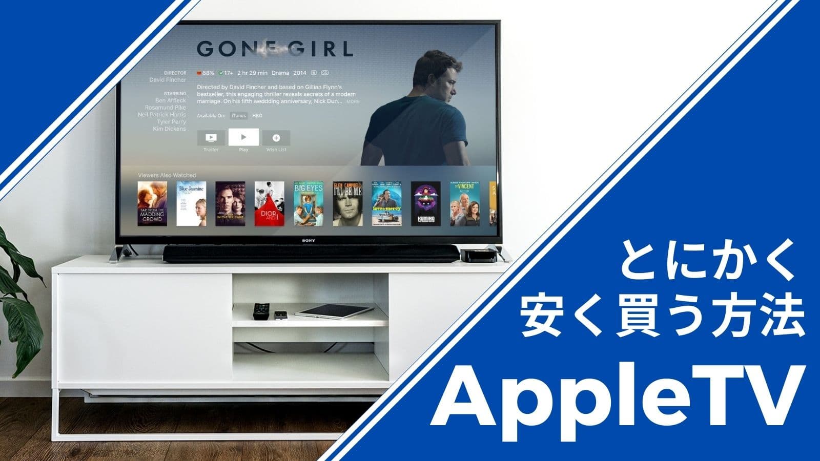 Apple TV調査