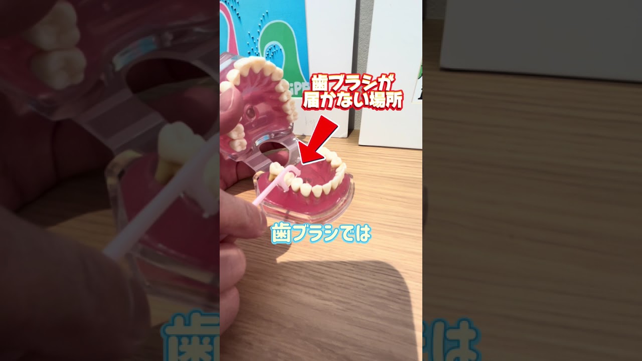 インタビュー動画１