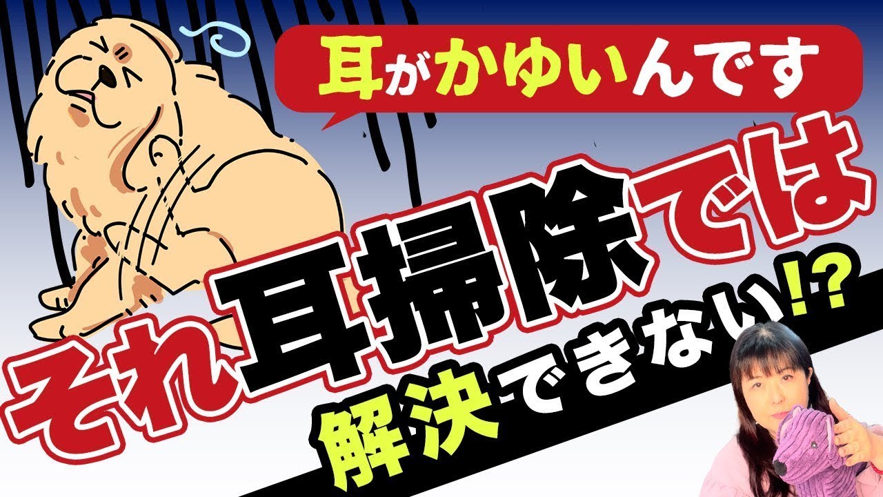 ハウツー、youtube