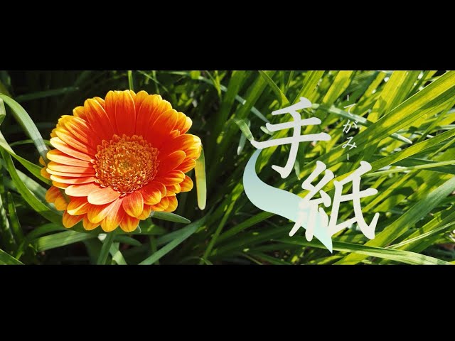 結婚式、経営者たちのラジオ