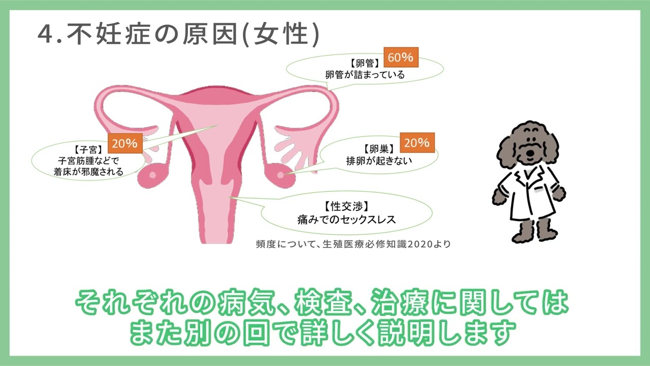 動画クリエイター、icon