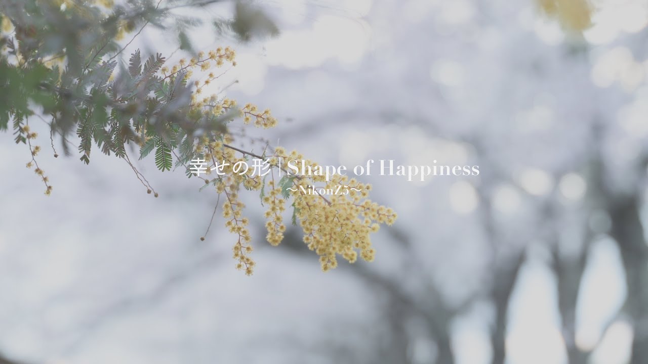 【幸せの形｜Shape of Happiness】Nikon Z5｜NIKKOR Z 28-75mm f/2.8【4K】