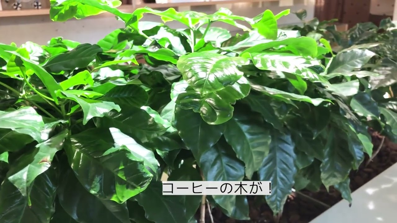 スクールの動画編集コースの課題