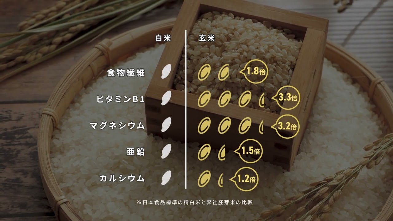 日本酒、オープニング