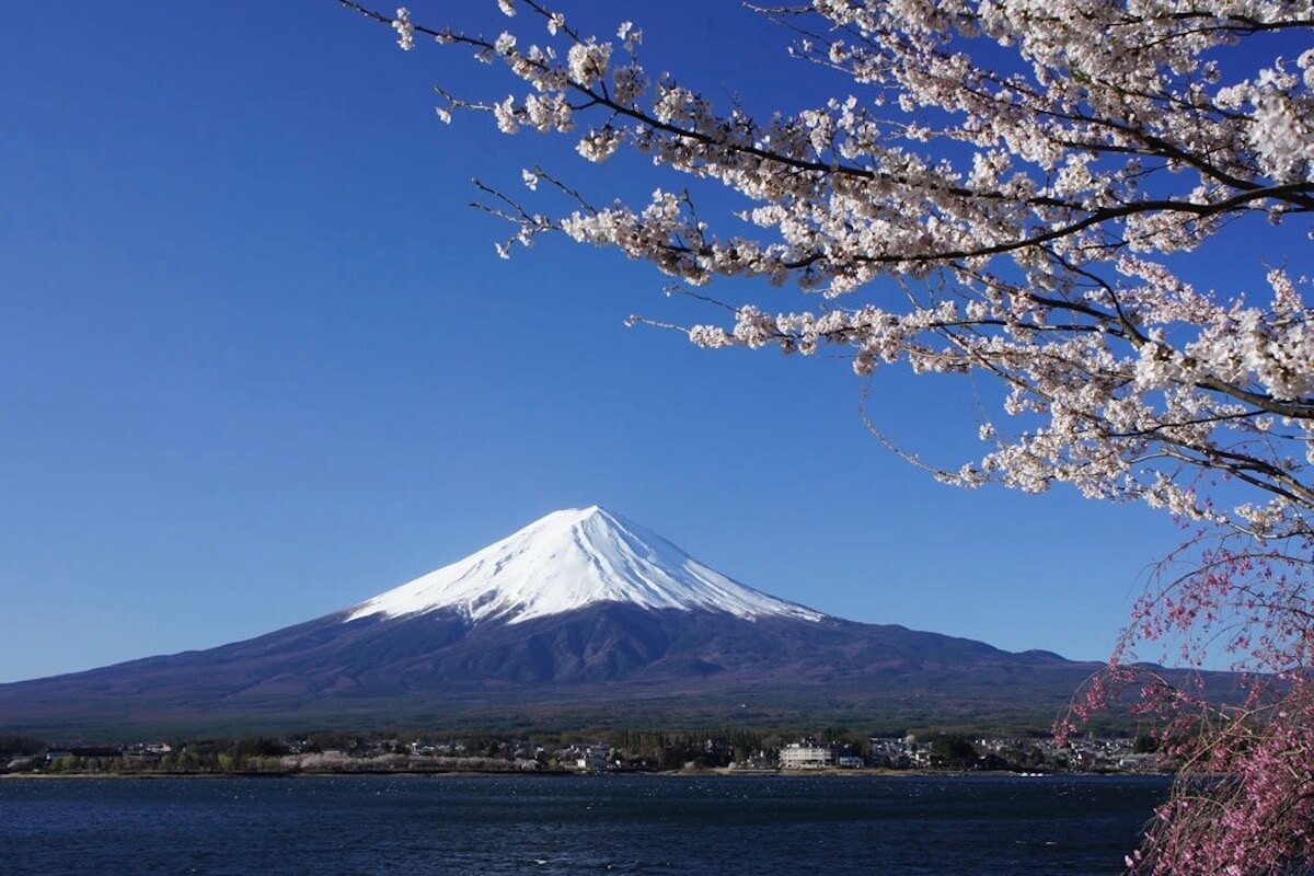 カフェにグランピング ぶどう畑とワイナリー みんなでつくる旅の駅 / 日本仕事百貨