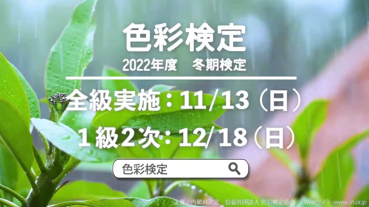 色彩検定PR広告 15秒ver
