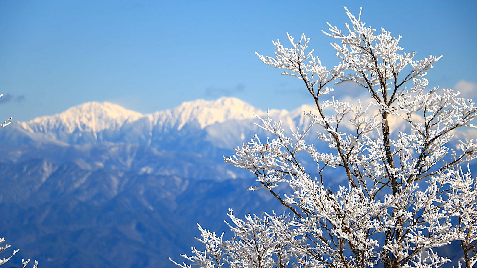 初心者ハイカーにおすすめ！東海地方から始める「雪山登山」の魅力とおすすめ4座